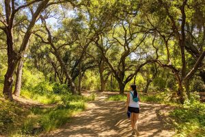 Hiking Trails in Orange County