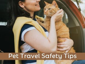 Health Certificate for Pet Travel: Essential Tips for Jet-Setting Pets