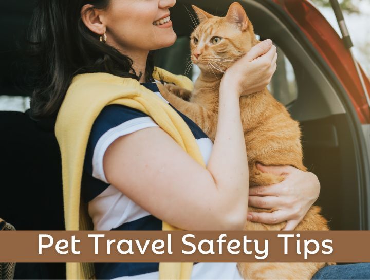 Health Certificate for Pet Travel: Essential Tips for Jet-Setting Pets